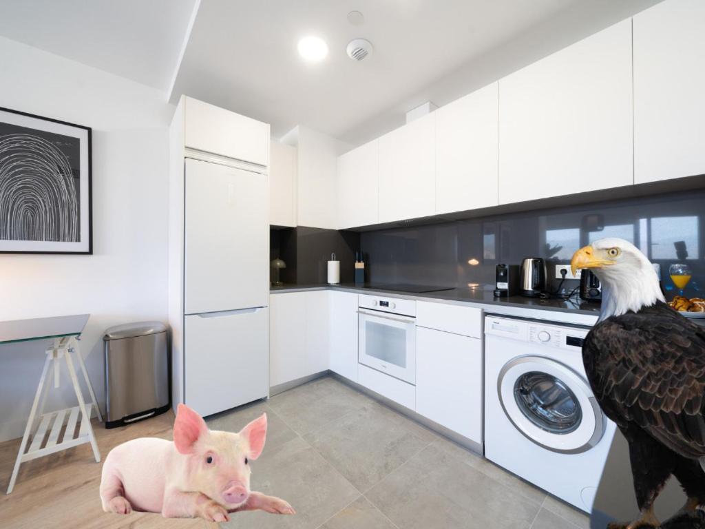 Ferienwohnung Xpce Urban 4 Malaga Skyline - Free Parking Exterior foto